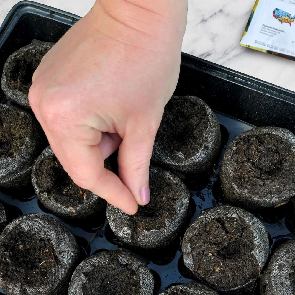 024296-ΜΑΙΝΤΑΝΟΣ PELLET-01