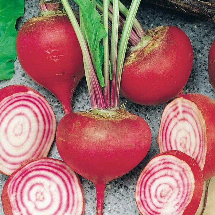 ΠΑΝΤΖΑΡΙ ΔΙΧΡΩΜΟ CHIOGGIA