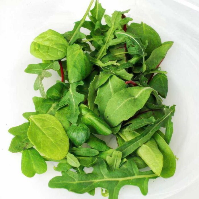 ΣΑΛΑΤΑ MICROGREENS ΚΑΛΙΦΟΡΝΙΑ ΜΙΧ