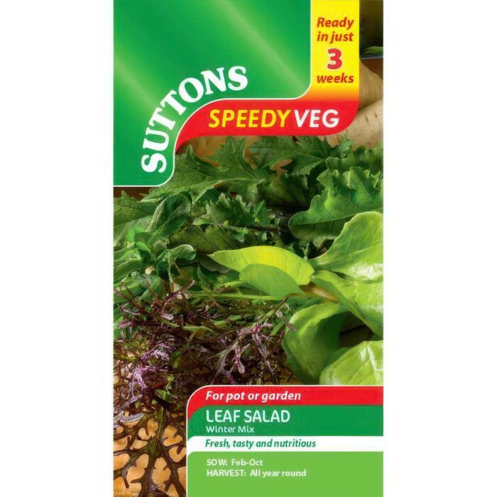 ΣΑΛΑΤΑ MICROGREENS ΧΕΙΜΩΝΙΑΤΙΚΟ ΜΙΧ ΤΑΧΕΙΑΣ ΑΝΑΠΤΥΞΗΣ - Image 2