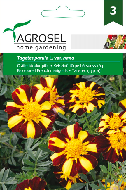 ΚΑΤΗΦΕΣ ΔΙΧΡΩΜΟΣ ΝΑΝΟΣ