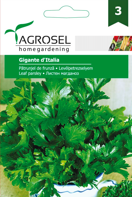 ΠΛΑΤΥΦΥΛΛΟΣ