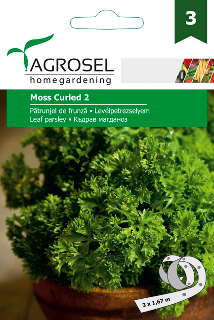 ΓΑΛΛΙΚΟΣ ΣΓΟΥΡΟΣ